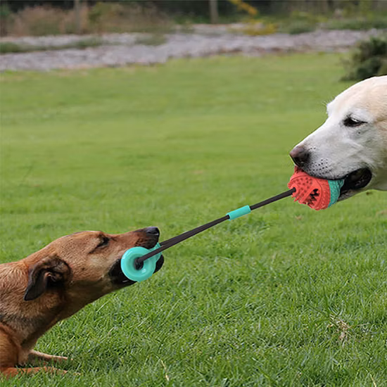 Nuevo diseño, rompecabezas de pelota rodante para perros y juguete para masticar para mascotas, golosinas, pelota de juguete de goma, juguetes para perros con desplazamiento infinito