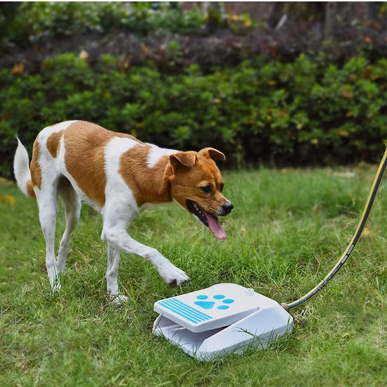 Petstar Amazon, producto en oferta, Pedal para perros, alimentador de agua para mascotas al aire libre, fuente, dispensador de agua automático para perros